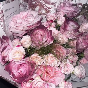 舍得(可是爱已成两刃的利剑)