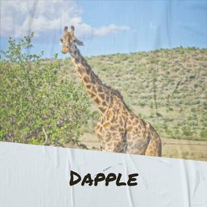 Dapple