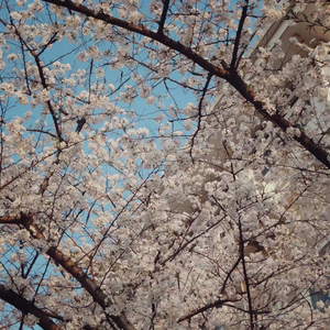 泛起·回忆·漩涡