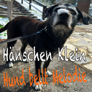 Hänschen Klein (Hundegebell Version) (mit Quetschkommode)