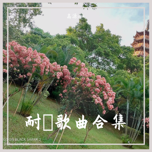 那个男孩（溫柔版）（翻自 汪苏泷）