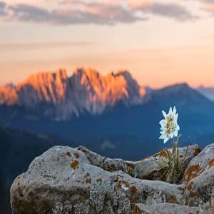 Abruzzo
