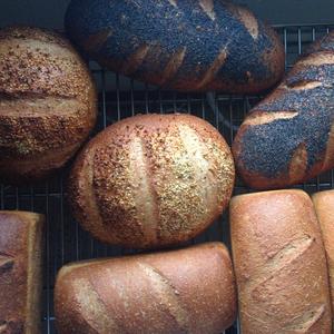 Flour Water Salt & Yeast