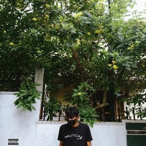 24 B A R S (acapella )