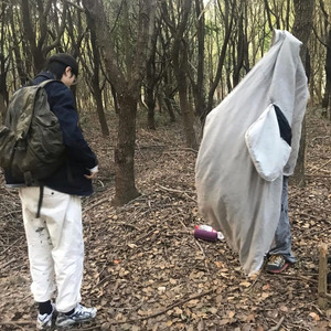 Мысли поэта