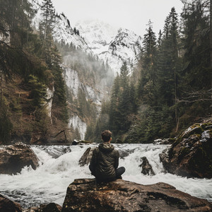 El Equilibrio A Través De La Armonía