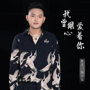 我曾用心爱着你 (DJ小蒋版)