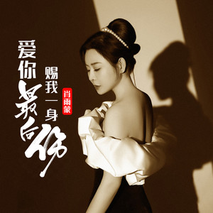 爱你最后赐我一身伤 (和声伴奏)