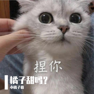 天空之城（翻自 蒋敦豪）