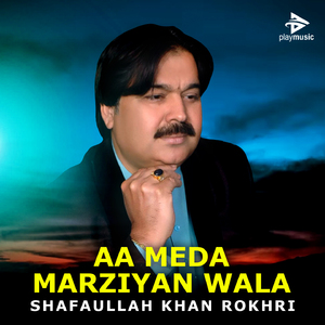 Aa Meda Marziyan Wala