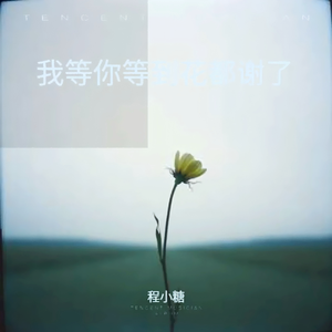 我等你等到花都谢了