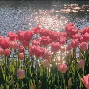 情书一封（PROD BY GOAT MUSIC）