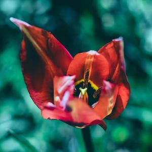 Losing You (feat. Christine Milosi)