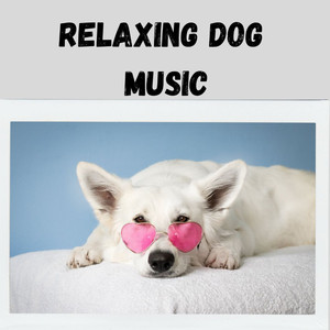 Calming Dog Mode