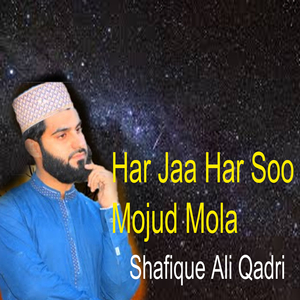 Har Jaa Har Soo Mojud Mola