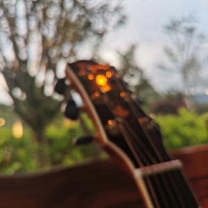 我最近总是梦见你