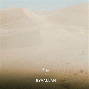 Eyvallah