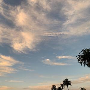 in remembrance of things past