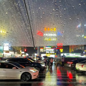 杨不乖-怪我打扰了（周七 remix）