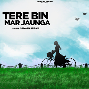Tere Bin Mar Jaunga