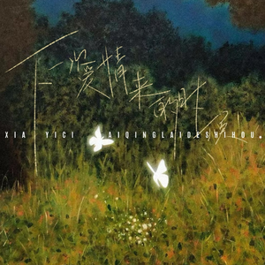 下一次爱情来的时候