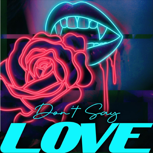 Don't Say Love