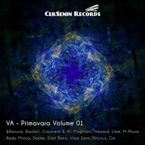 Seninul Cer (Original Mix)