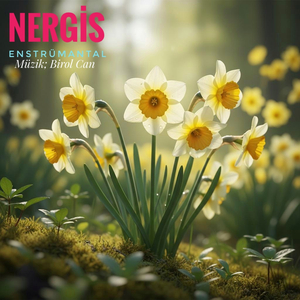 Nergis (Beni Unutma)