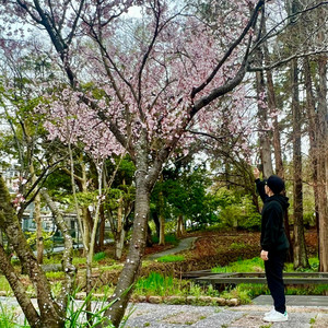 君しかいないんだ