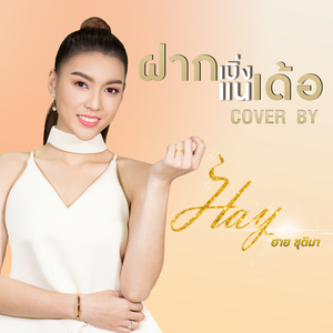 ฝากเบิ่งแนเด้อ (Cover)