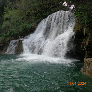Jardín