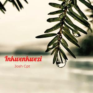 Inkwenkwezi