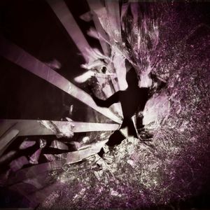 Dominating the Floor