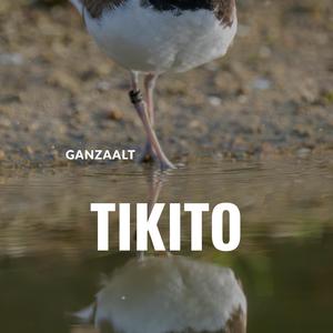 Tikito