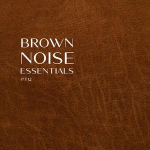 Sleeping Brown Noise