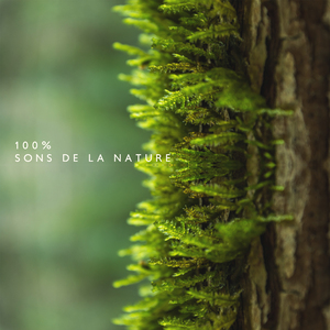 Rivière de baignade