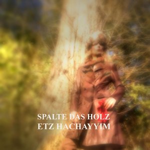 Spalte Das Holz Etz Hachayyim