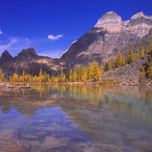 特别的是你从来没有离开我