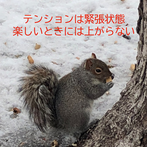 テンションは緊張状態楽しいときには上がらない