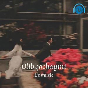 Olib qochaymi