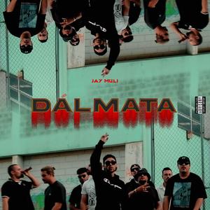 Dálmata