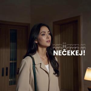 Nečekej! ON (feat. Nik.Do)