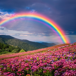 Viaje Sonoro De Fantasía