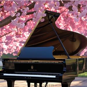 Soothing Relaxation Piano