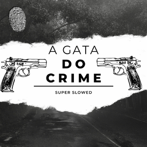 A GATA DO CRIME SUPER SLOWED