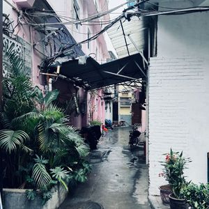 执念