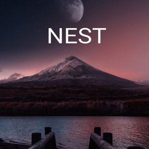 Nest