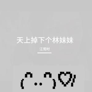 天上掉下个林妹妹