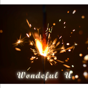 Wonderful U