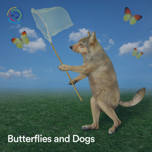 Embourgeoisement Ambient